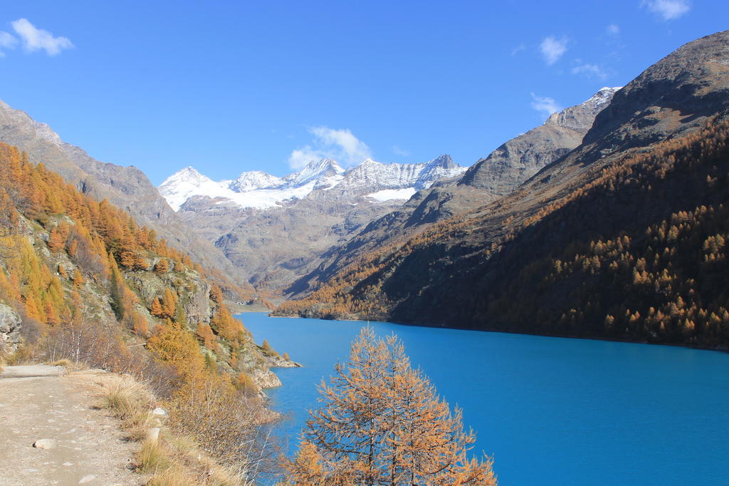 Locanda Lac Place Moulin Bionaz Екстериор снимка